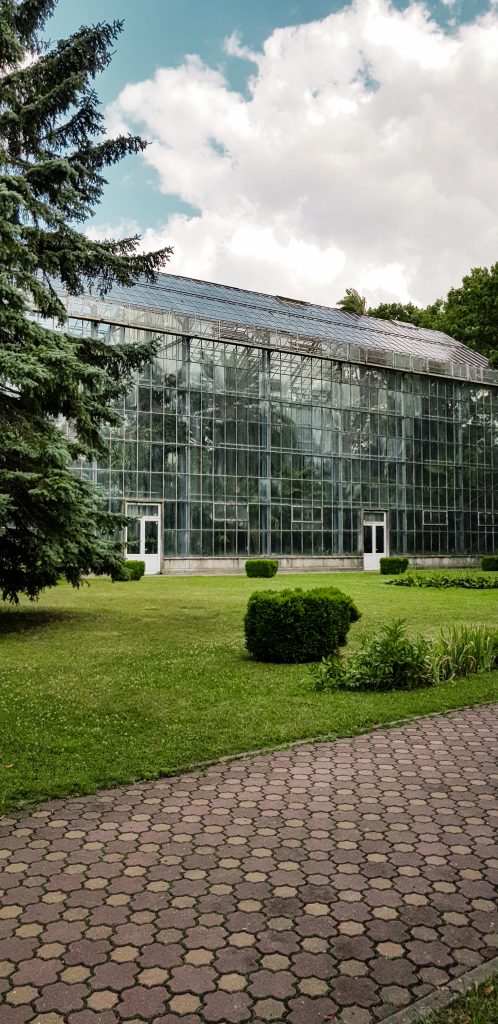 Botanische tuin, Cluj, Cluj-Napoca, tuin, kas, tropisch, Transsylvanië, Roemenië