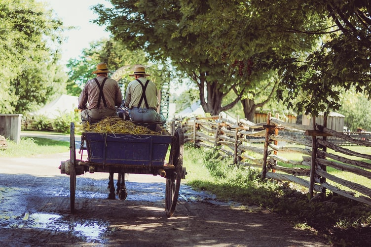 Niet overal neemt de economie toe in Roemenië. Op het platteland is het hard ploeteren voor een paar centen. Het verschil tussen platteland en stad is dan ook goed te zien.