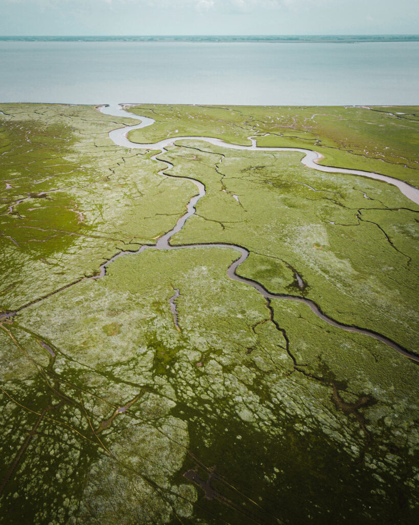 Genieten van de prachtige natuur op Ameland